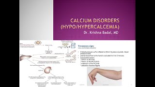 Hypocalcemia and Hypercalcemia in Children [upl. by Marcos]