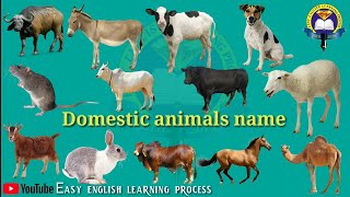 DOMESTIC ANIMALS NAME  Learn Domestic Animals Sounds and Names  Easy English Learning Process [upl. by Anahsat683]