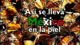 Asi se siente Mexico [upl. by Schuster]