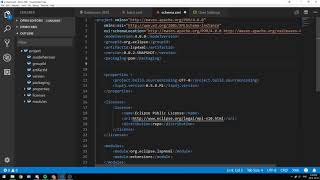 XML VS Code Extension Demo [upl. by Sidnal803]