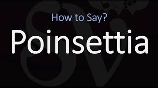 How to Pronounce Poinsettia CORRECTLY [upl. by Einaeg]