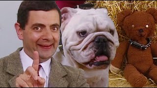 Dog Show  Funny Clips  Mr Bean Official [upl. by Bree]