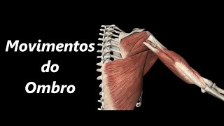 Movimentos do Ombro em 3D [upl. by Llenrev]