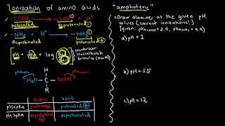 BIOCHEM 13  Amino Acid Ionization 1 [upl. by Mirabelle674]