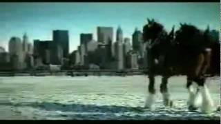 Budweiser 911 tribute commercial [upl. by Eibbob411]