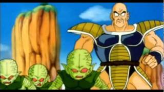 Best Nappa Moments In DBZ Abridged [upl. by Sitrik748]