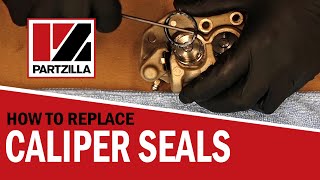 How to Replace Brake Caliper Seals  Brake Caliper Rebuild  Caliper Piston Seal Replacement [upl. by Hebel]