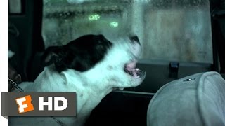 Squeaky Dog  Snatch 38 Movie CLIP 2000 HD [upl. by Moncear]