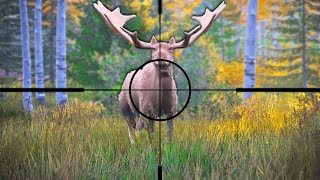 Hunting GIGANTIC Moose in Hunting Simulator 2 [upl. by Harley392]