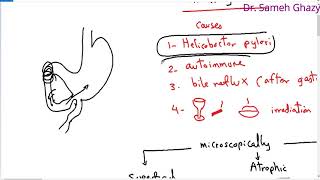 Systemic pathology 22  GIT 3  gastritis  DRSAMEH GHAZY [upl. by Rosane]