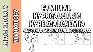 Familial Hypocalciuric Hypercalcemia  other calcium sensing disorders  pathophysiology treatment [upl. by Ressan275]