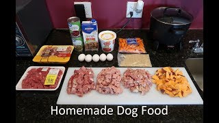 Best Homemade Dog Food Video  From A Past Vet Tech [upl. by Eilyah856]