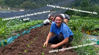 LIVING AND WORKING ON AN ORGANIC FARM IN ITALY WWOOF [upl. by Hillary]