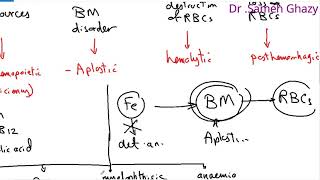 Systemic pathology 24  blood 1  deficiency anemia  DRSAMEH GHAZY [upl. by Euqinim]