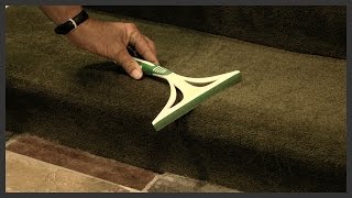 How to remove dog hair from carpet [upl. by Nimref]