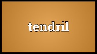 Tendril Meaning [upl. by Mas]