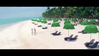 Its More Fun in the Philippines  Bohol TV Commercial  Philippine Department of Tourism [upl. by Yhotmit369]