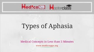 Aphasia or Speech Disorders  Types amp Causes [upl. by Ardnasak]