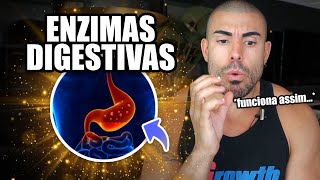 Tudo sobre enzimas digestivas [upl. by Nesyt]