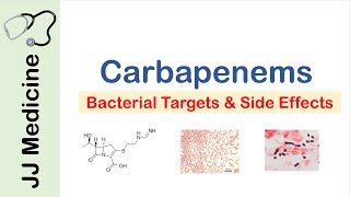 Carbapenems  Bacterial Targets Mechanism of Action Side Effects [upl. by Oinimreh687]