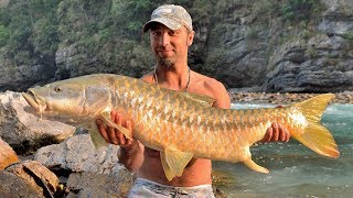 Fishing in Nepal river  record Golden Mahseer 138cm  big fish caught [upl. by Sargent124]