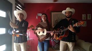 Cantores tamaulipecos [upl. by Lorens572]