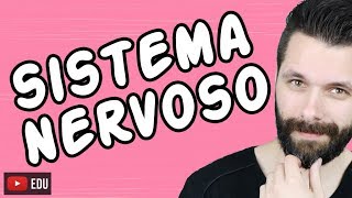 SISTEMA NERVOSO  FISIOLOGIA  Aula  Biologia com Samuel Cunha [upl. by Arlen]