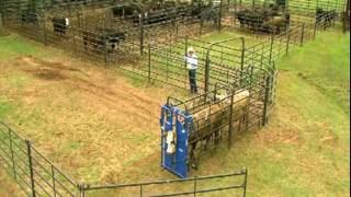 Priefert Small Cattle Working Systems [upl. by Sartin]