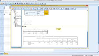 SPSS  Homogeneity Test [upl. by Eixam]