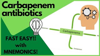 Antibiotics Carbapenems  MADE EASY with mnemonics and visual learning [upl. by Nahamas710]