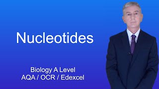 A Level Biology Revision quotNucleotidesquot [upl. by Abba981]