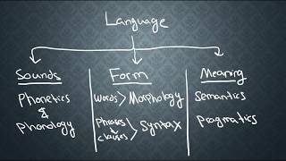 SEMANTICS1 What is Semantics [upl. by Setsero963]