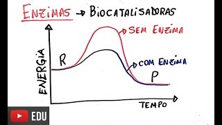 Proteínas  Enzimas [upl. by Stoller259]