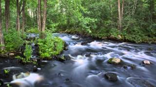 3 Hours of White Noise Bruit Blanc Relaxing and Soothing River Sound for Sleep and Concentration [upl. by Neelsaj885]