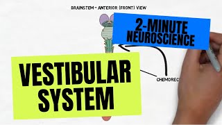 DixHallpike Test for BPPV [upl. by Trevorr]