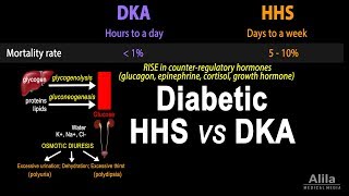 Hyperosmolar Hyperglycemic State Diabetic HHS vs DKA Animation [upl. by Amzu453]