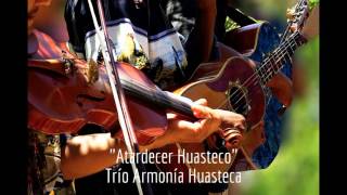 Los Mejores Huapangos Huastecos del Trío Armonía Huasteca [upl. by Annora493]