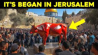 Jerusalem Prepares For Jesus To Return [upl. by Avrenim76]