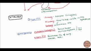 Hypercalcemia for USMLE Step 1 and USMLE Step 2 [upl. by Judy]