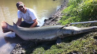 MONSTER ALLIGATOR GAR FISHING IN TEXAS WITH ROD AND REEL [upl. by Rikki]