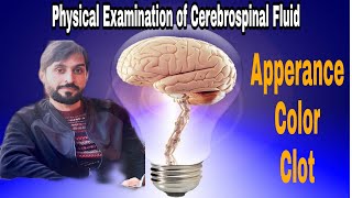 Circulation of Cerebrospinal Fluid CSF Through Ventricles [upl. by Eniluj]