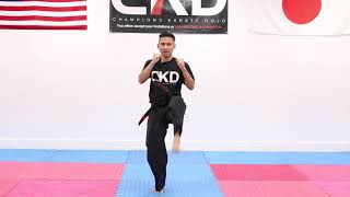 Karate Training Tips for Beginners [upl. by Childs]