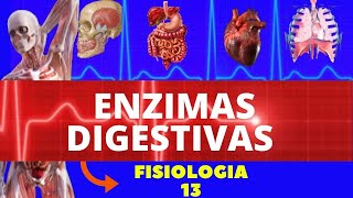 ENZIMAS DIGESTIVAS FISIOLOGIA HUMANA  FISIOLOGIA DO SISTEMA DIGESTÃ“RIO FISIOLOGIA DE GUYTON [upl. by Eirtemed605]