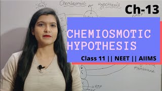 Ch13 Photosynthesis L04 Chemiosmotic Hypothesis  Class 11  NEET  AIIMS [upl. by Galanti]