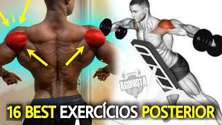 16 Melhores Exercícios Para Treinar Posterior de Ombros [upl. by Eseela245]