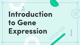 Y1112 Biology Introduction to Gene Expression [upl. by Barnaby]