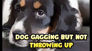 Dog Gagging But Not Throwing Up [upl. by Berman221]