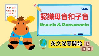 【英文從零開始】認識母音和子音｜Vowels amp Consonants｜Boro English [upl. by Ysac]