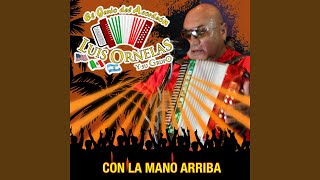 Cumbia Sabrosa [upl. by Merrick]