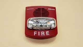 TrueAlert Horn Strobe Fire Alarm [upl. by Vola]